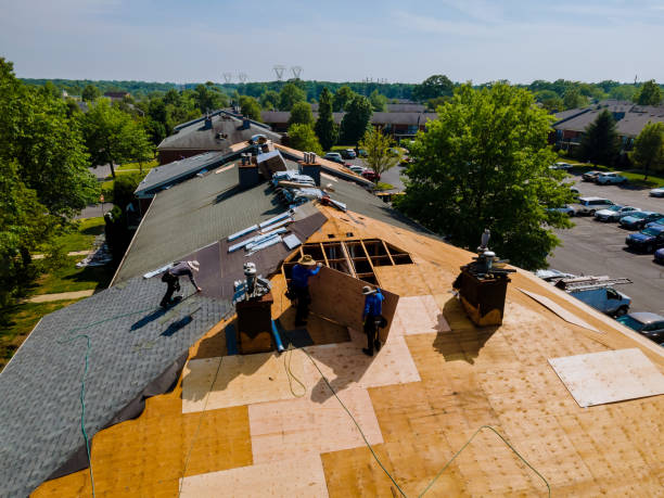 Quick and Trustworthy Emergency Roof Repair Services in Shrewsbury, NJ
